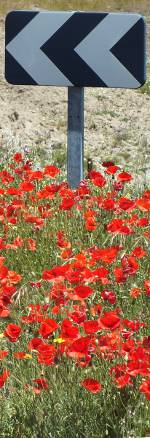 Spanish roadside